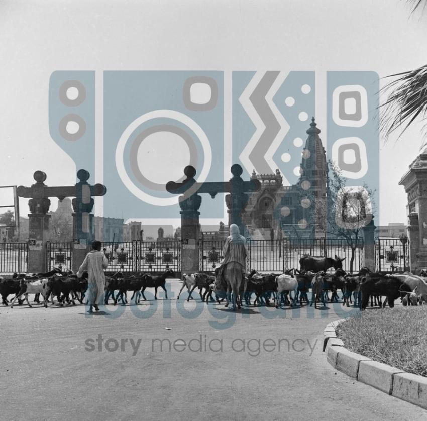 قصر البارون